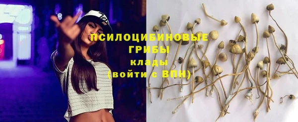 трава Абинск