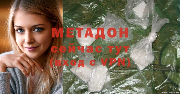 индика Каменногорск