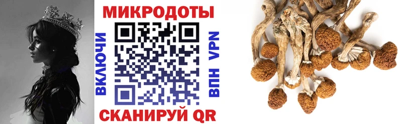Галлюциногенные грибы Magic Shrooms Мещовск